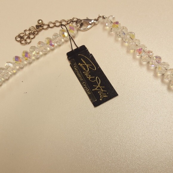 Birch Hill Crystal Necklace NWT - Picture 3 of 4